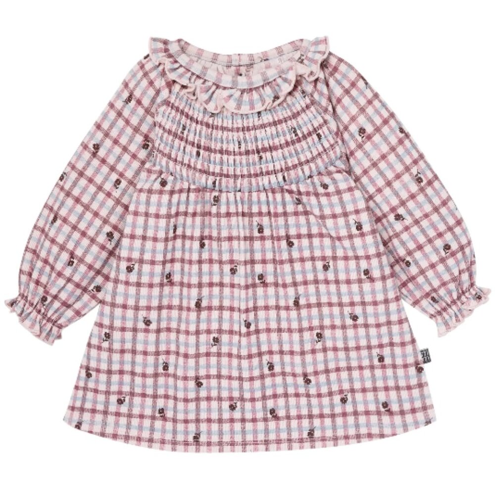 Modern Moments Baby Girl Smocked Dress & Tights Set 2-Pieces - Picture 2 of 9